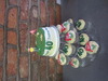 Img_0565_slider_thumb